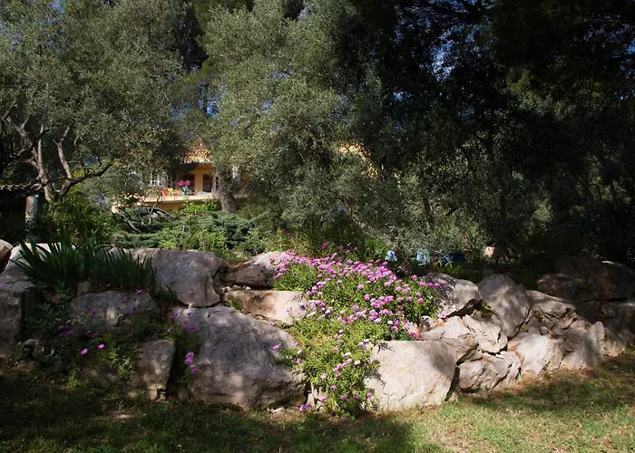 Accommodatie bij particulieren D'hote Mont Ventoux Aramon